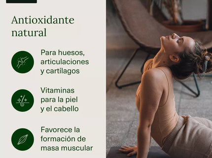 Collagène hydrolysé avec acide hyaluronique, coenzyme Q10, zinc et vitamines Aldous | 120 Gélules