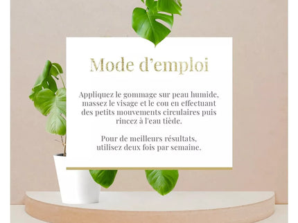Gommage visage exfoliant et purifiant - Tous types de peaux - Aloe Vera