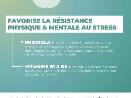Zohi - Complément Alimentaire De-Stress parfum fruits des bois, Pilulier 30 jours 180g