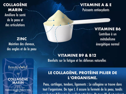 Beauty&Wild, Collagène Marin, 6g, Poudre collagène type 1 et 3 - Arôme fruits exotiques, Peptides Hydrolysés 2000 DA, Beauté et Sport, Peau Hydratée & Articulations Souples, 310g
