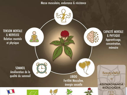 Ashwagandha Bio KSM-66®, 90 Gélules Vegan - 900mg/Jour - Fabriqué en France - Ginseng Indien Extra Fort, Anti-Stress, Musculation, Favorise le Bien-Être, Améliore la Qualité du Sommeil, Beauty&Wild