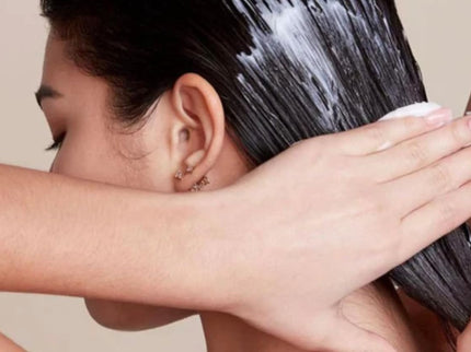 Rose Baie Gamme Thermo B.otox Shampoing Ricin