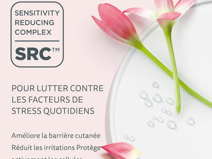 Declaré Collagen & Elastin Booster 50 ml – Sérum Collagène & Elastine